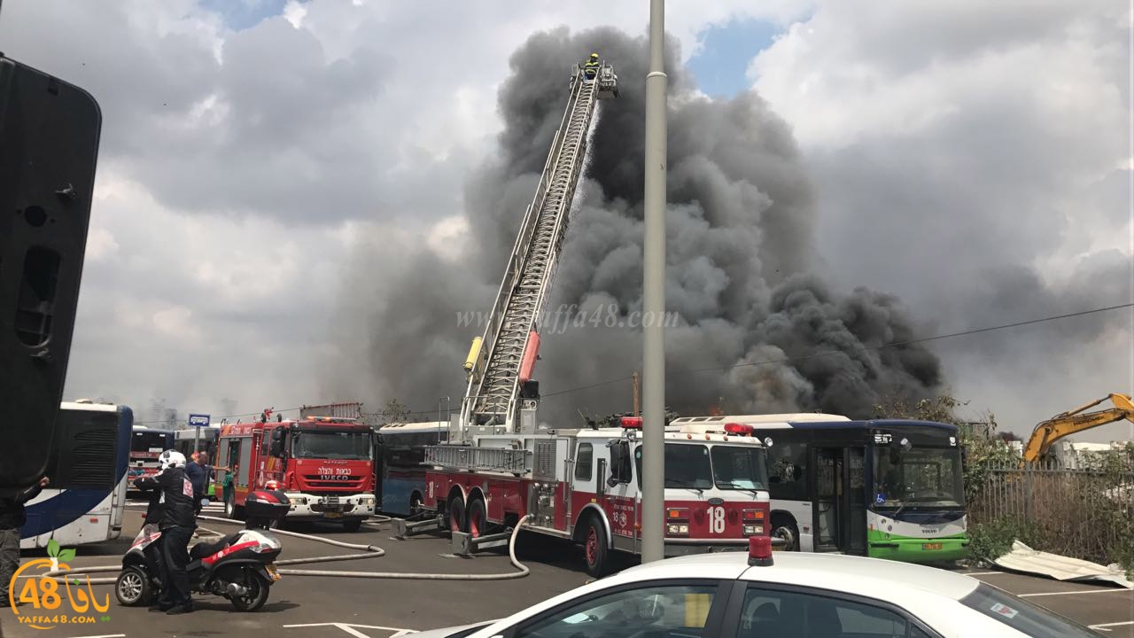 firbus eastyaffa (6).jpg